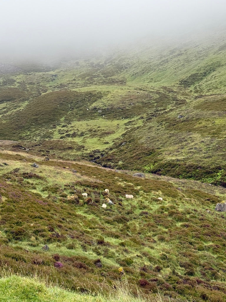 Travel Guide to...The Scottish Highlands